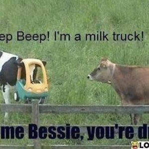 Meet your Posher, Clarence